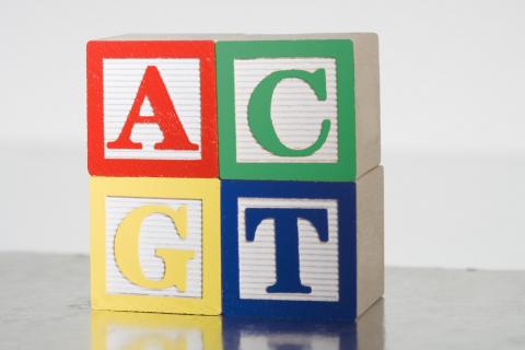 ACGT childrens building blocks