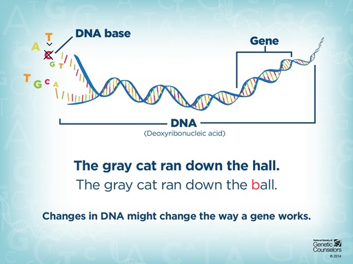 A graphic showing how changes in DNA might change the way a gene works, like changing a letter in a word could give a sentence a new meaning.